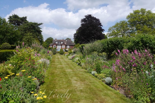 The Back Lawn of Luctons