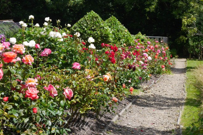The Flower Garden at Luctons, Sussex