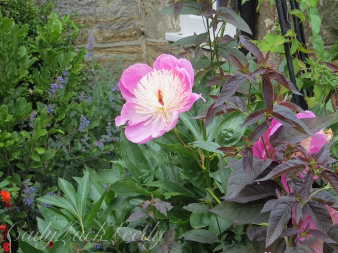 Wealden House, Warninglid, Sussex