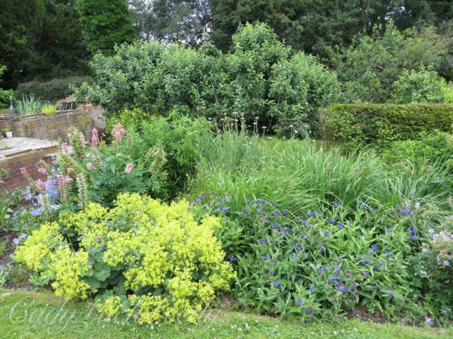Variety of Color in the Border of the Garden, Wealden House, Sussex