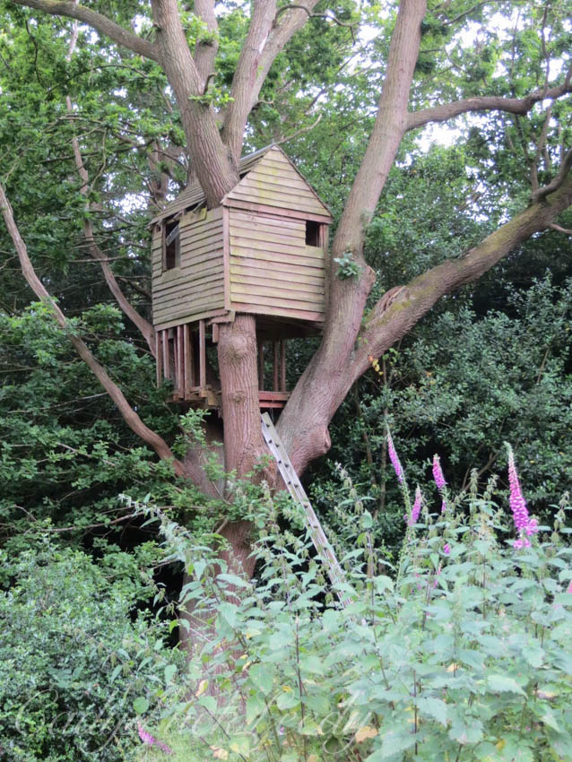 The Woodland Garden at Wealden House, Warninglid, UK