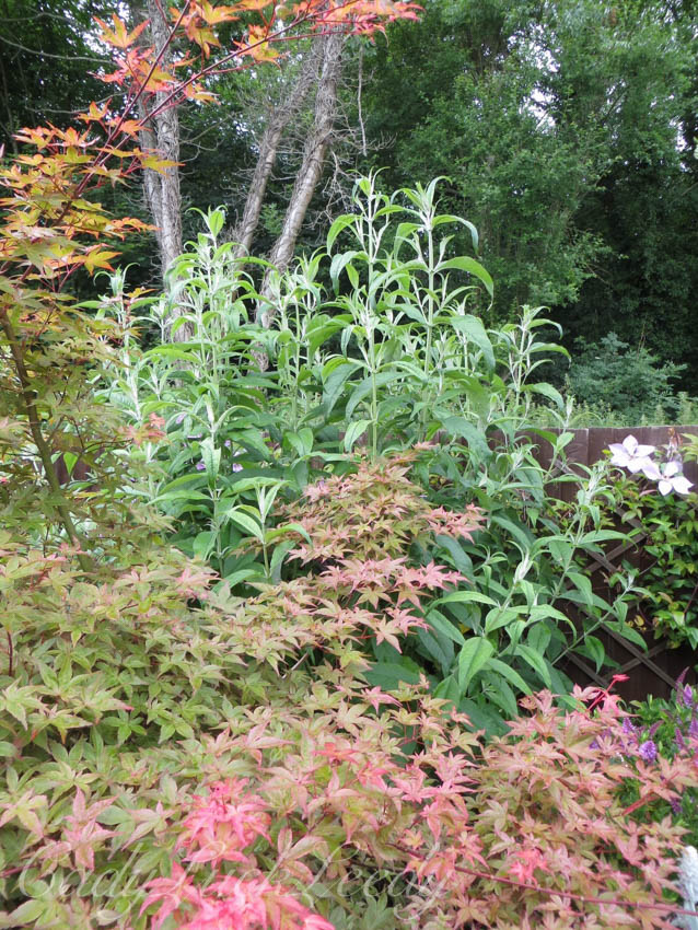 The Old Church House, Warninglid, Sussex