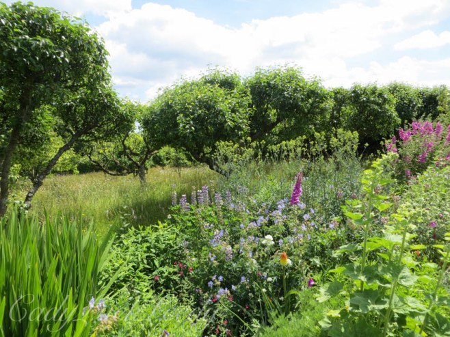 Looking at the Orchard at Luctons, Sussex