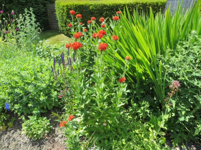 The Flower Garden of Luctons, Sussex