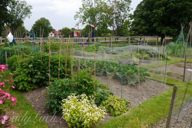 The Village Vegetable Garden, Warninglid, Sussex