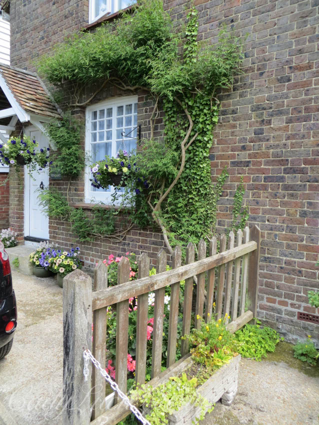 Beauty at the Whites Cottage, Fletching, Uckfield