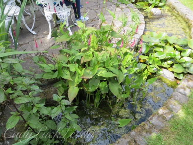 The Moated Terrace at North Hall