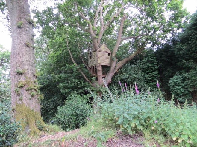 The TreeHouse in the Woodland Garden, Wealden House, Warninglid