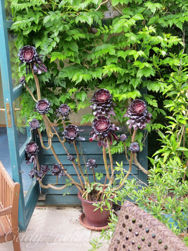 Hay House, Warninglid, Sussex