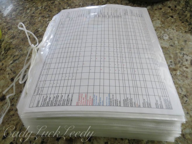 The Detailed Itinerary, Research, Research, Research