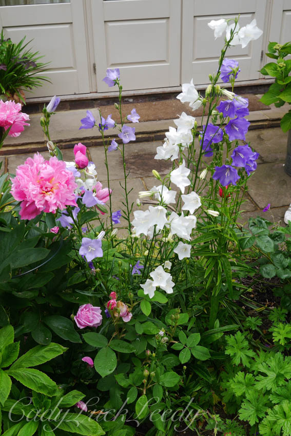 The Old Church House, Warninglid, Sussex