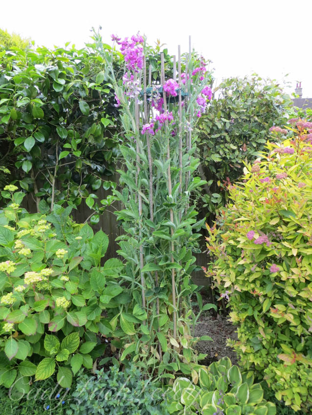 Yeoveney House, Warninglid, Sussex