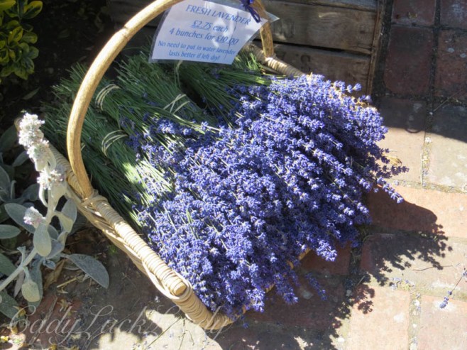 The Hop Shop, Shoreham, North Kent, UK