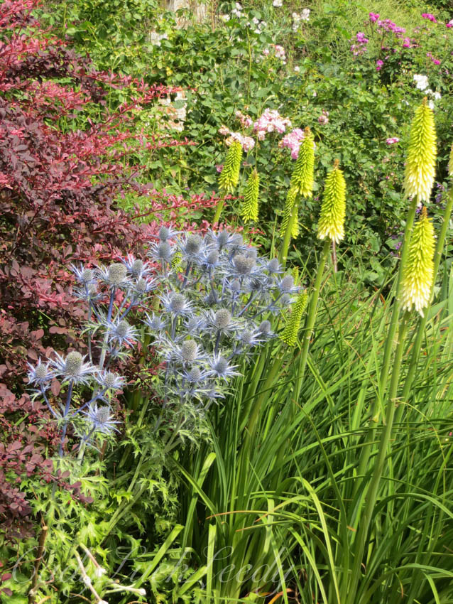 The Rondel Garden, Sissinghurst, Kent, UK