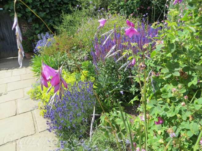The Rondel Garden, Sissinghurst, Kent, UK