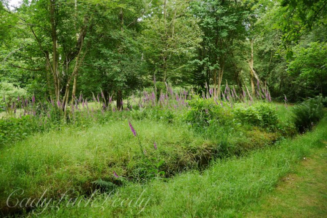 Beeches, Warninglid, Sussex