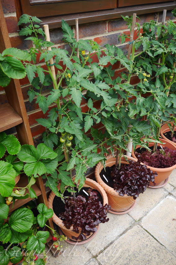 Yeoveney House, Warninglid, Sussex