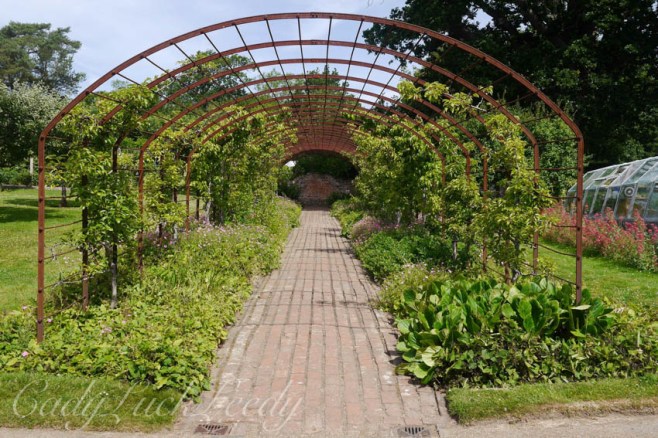 A Walk Through the Vegetable Gardens at Bateman's, Burwash, East Sussex, UK