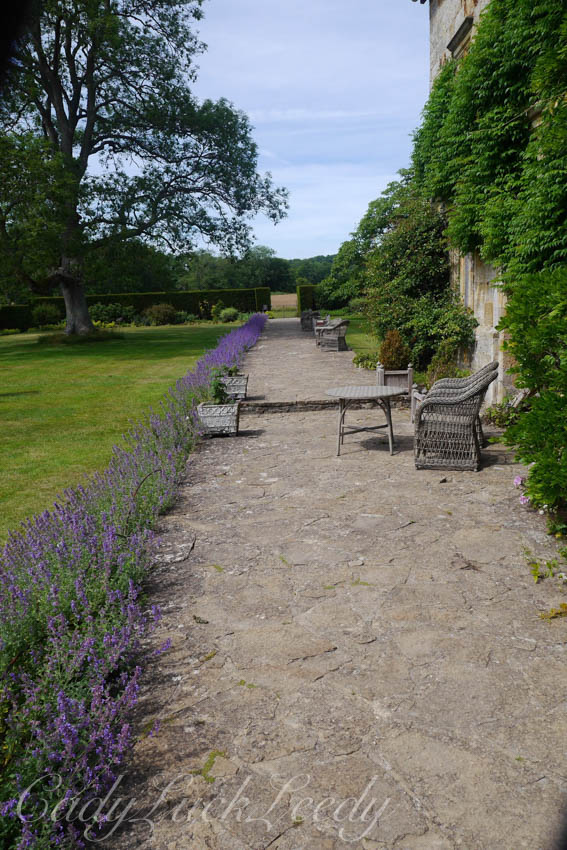 The Lavender Walk, Bateman's, Burwash, East Sussex, UK