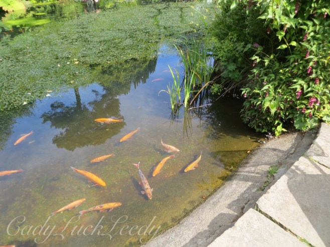 The Fish Pond, Chartwell, Kent, UK