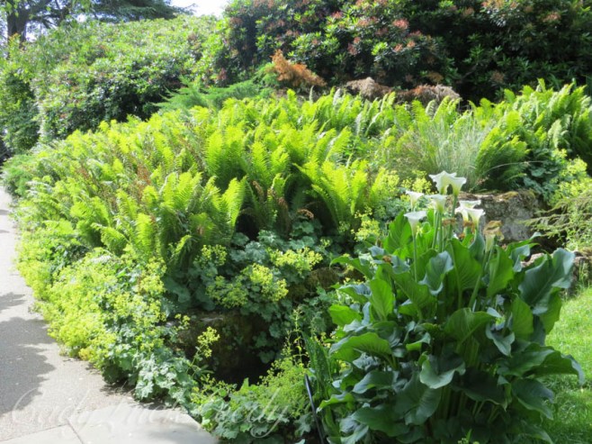 Walking to the Rock Garden, Chartwell, Kent, UK