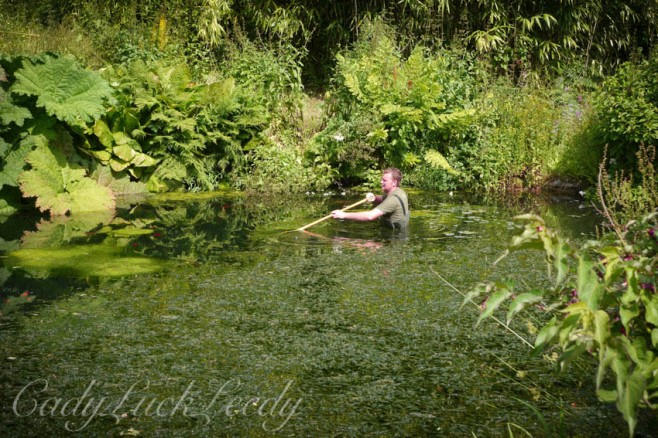 Cleaning the Fish Pond and Rock Garden at Chartwell, Kent, UK
