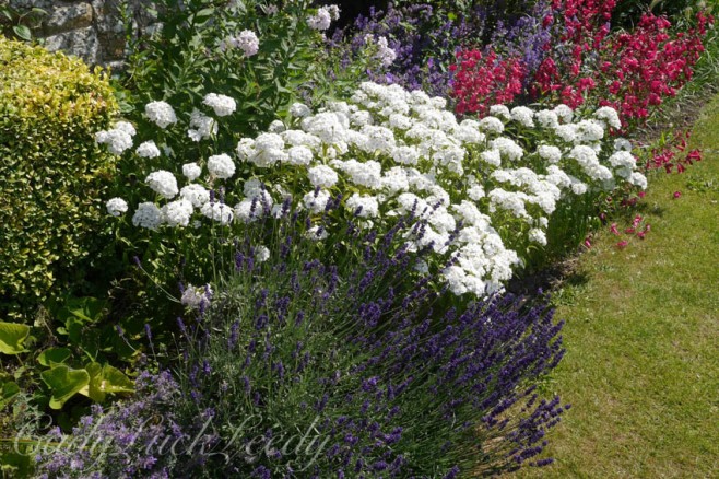 A Walk Through the Flower Gardens at Chartwell, Kent, UK