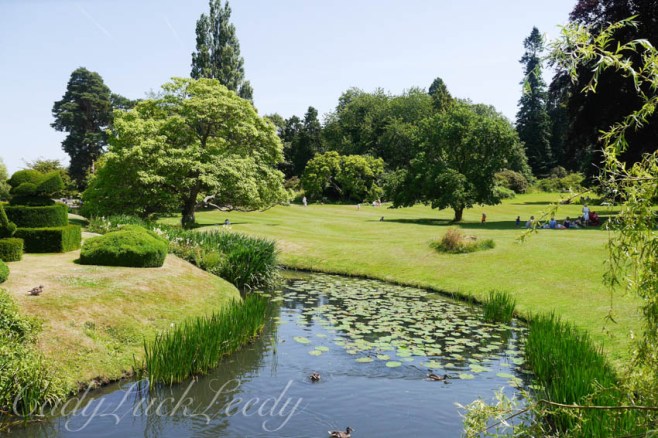 The Grounds and River Surrounding Hever Castle