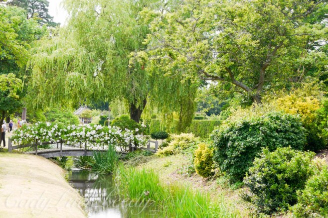 The Grounds and River Surrounding Hever Castle