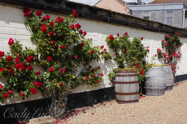 Chapel Down Winery, Tenterden, Kent, UK