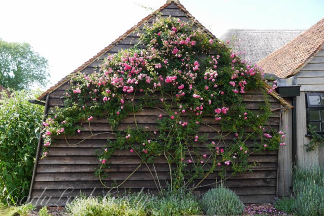 The Multiple Barns at Smallhythe Place, Tenterden, Kent, UK