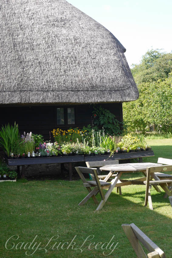 The Multiple Barns at Smallhythe Place, Tenterden, Kent, UK