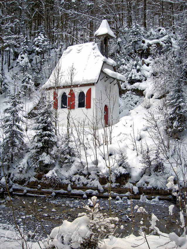 Merry Christmas to All!