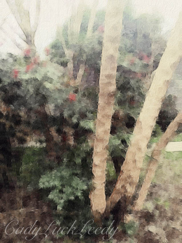 Painted in Brushstroke