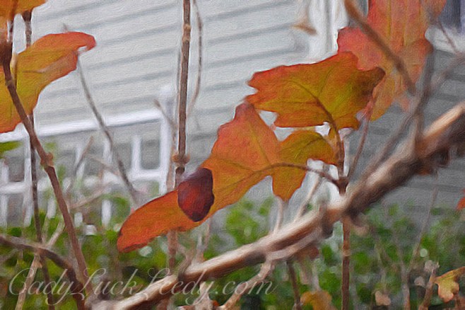 Painted in Brushstroke