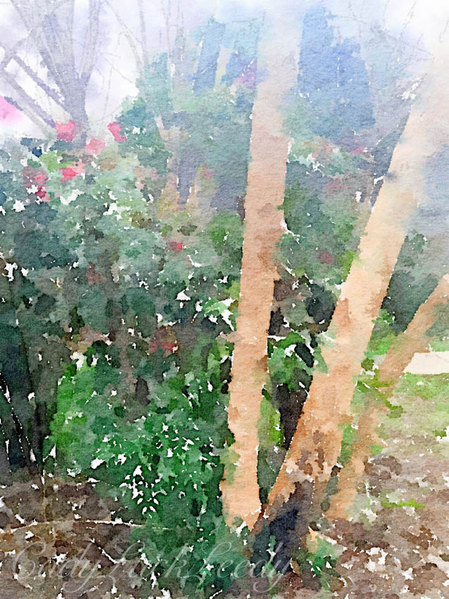 Painted in Waterlogue