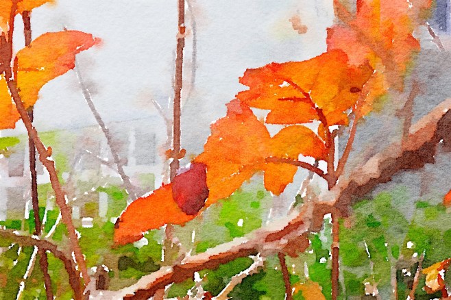 Painted in Waterlogue