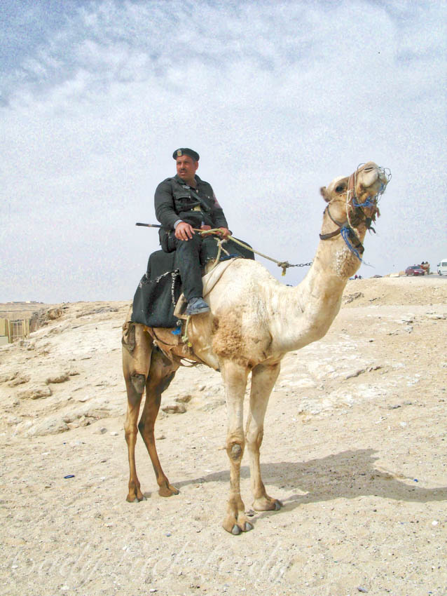 Police on Camel at Great Pyramid of Cheops Pyramid of Chephren and Pyramid of Mycerinus, Cairo, Egypt 