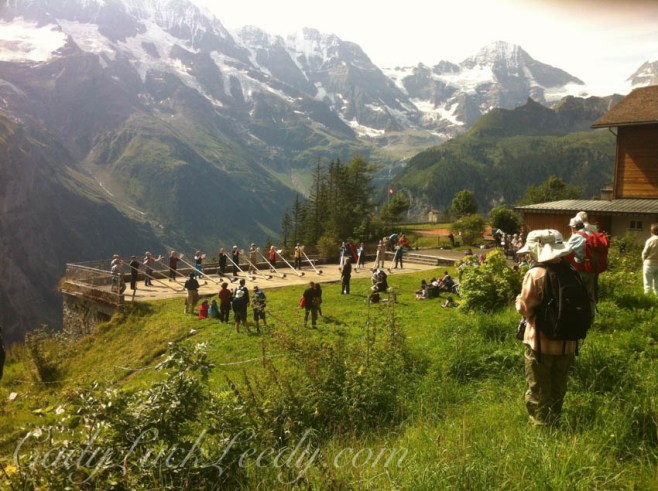 Mountain Meadow in Mürren, Switzerland