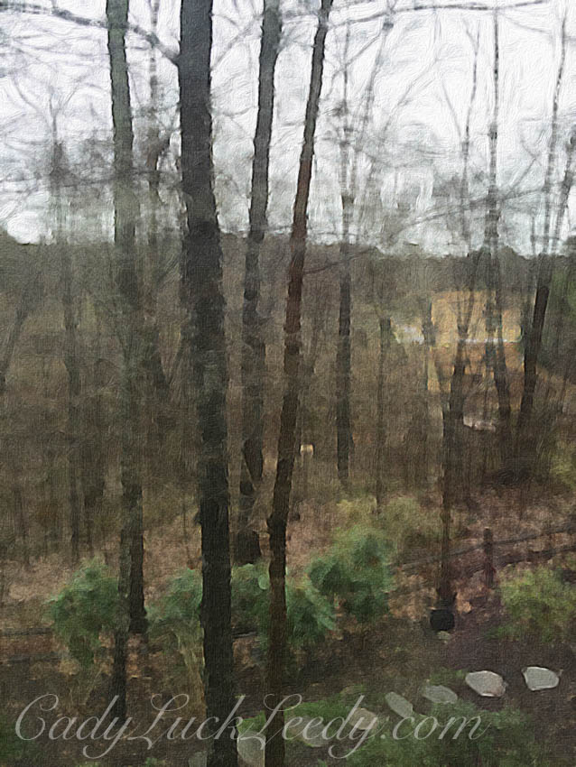 Woodland Garden in Brushstroke App