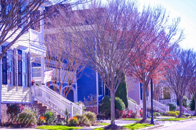 Living in a Pastel World