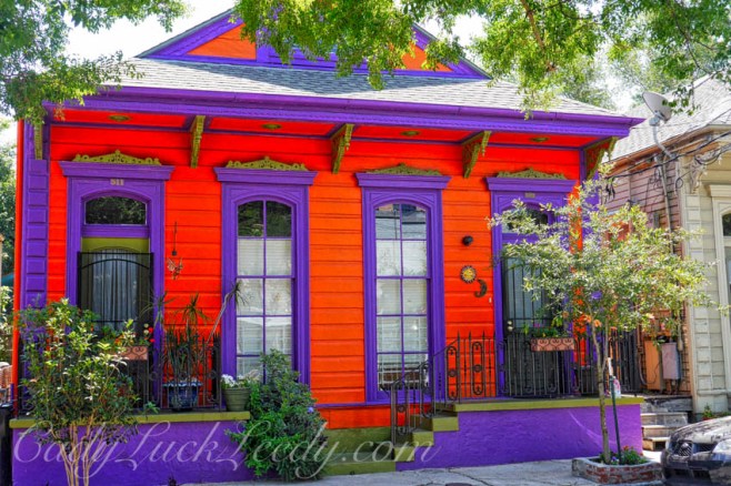 The Mango Tango Colored House