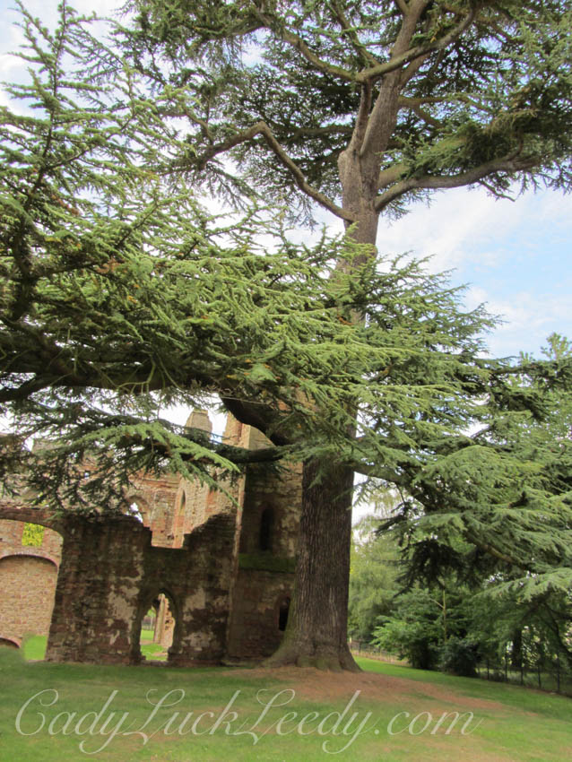 Acton Burnell Castle, Acton Burnell, Shropeshire, UK