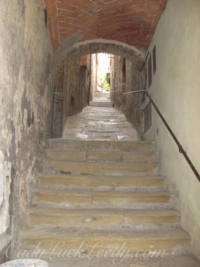 Timberwolfish Walkway in Montepulciano, Italy