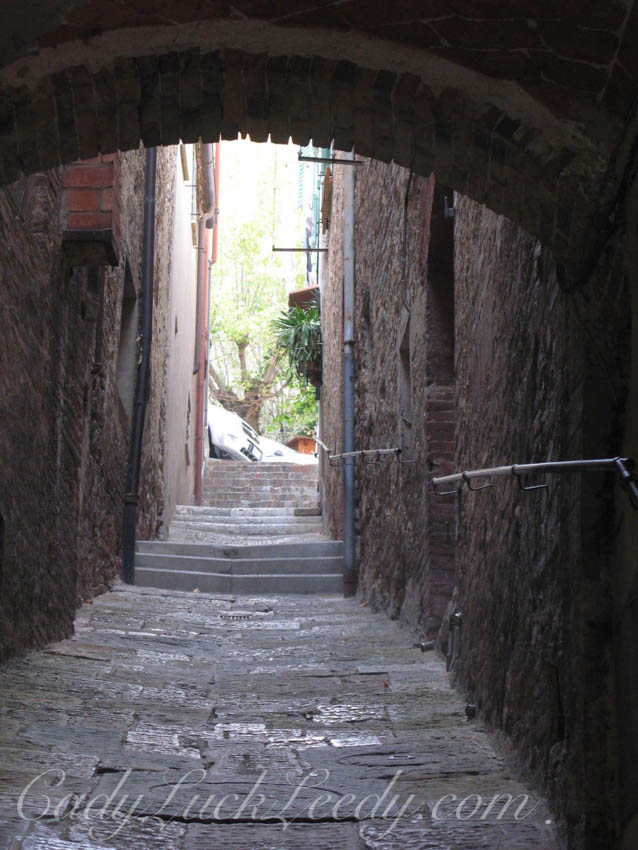 Timberwolfish Walkway in Montepulciano, Italy