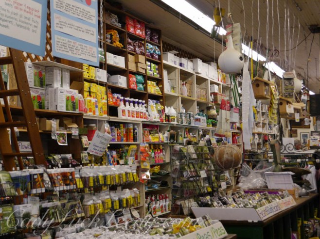Renfrow General Store, Matthews, NC