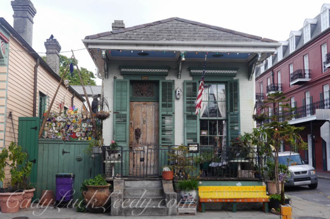Shot Gun House, New Orleans, Louisiana