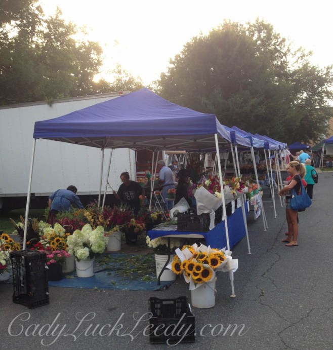 The Flowers at the Saturday Market