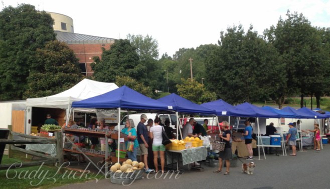 Saturday Market With Dog