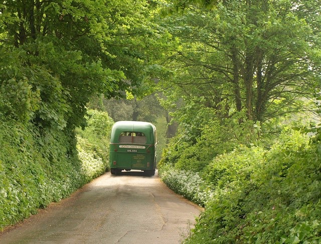 The Lane to Greenway, Devon, UK